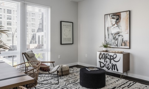 Open space living area with natural lighting