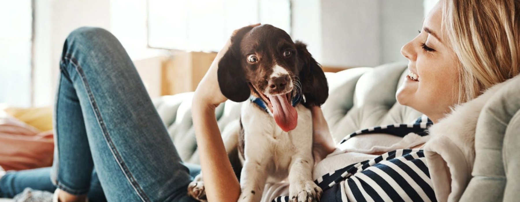 Discover the Best Pet-Friendly Apartments in Columbus, OH at One at the Peninsula