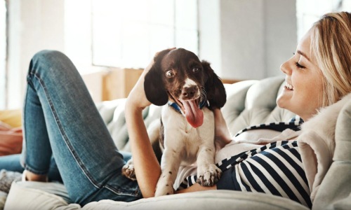 Discover the Best Pet-Friendly Apartments in Columbus, OH at One at the Peninsula Cover Image